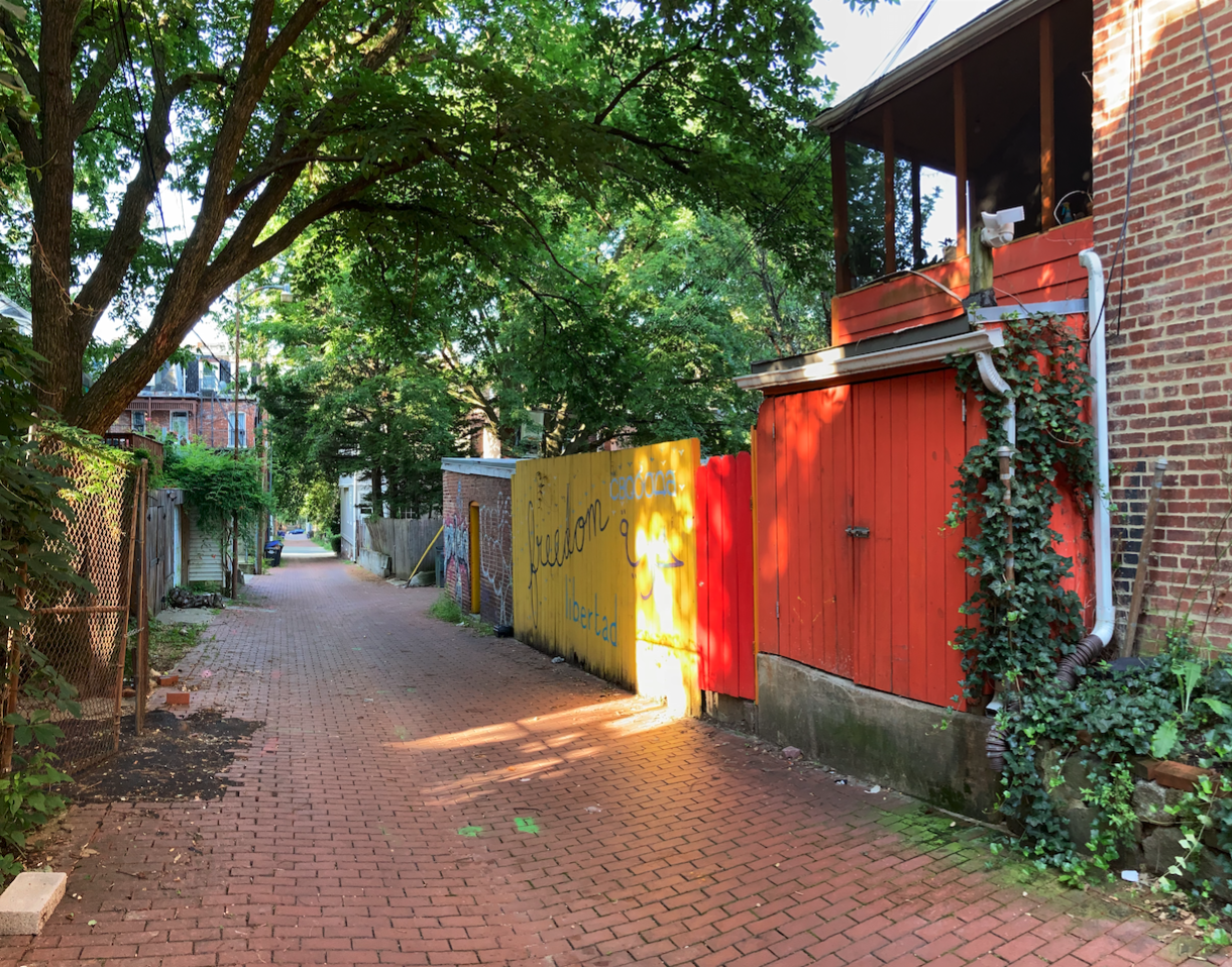 An alley in Mount Pleasant