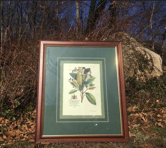 Near Holiday House, a print