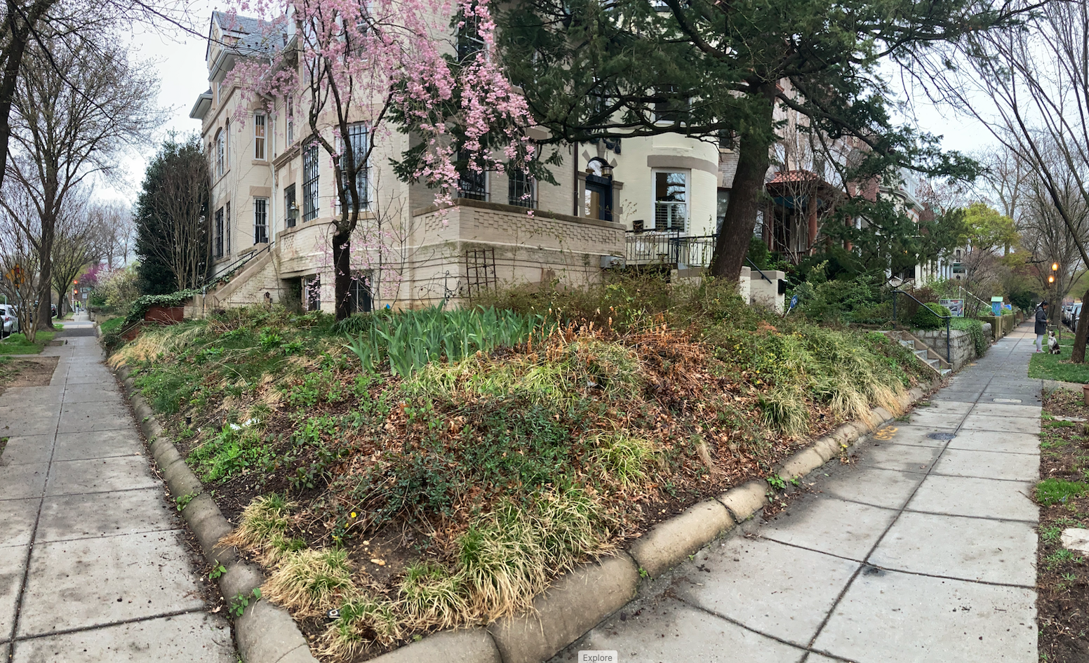 18th and Kenyon natural garden