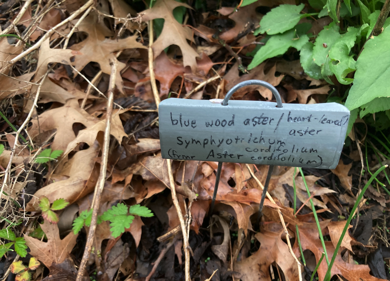 Plant marker on 18th Street an Kenyon