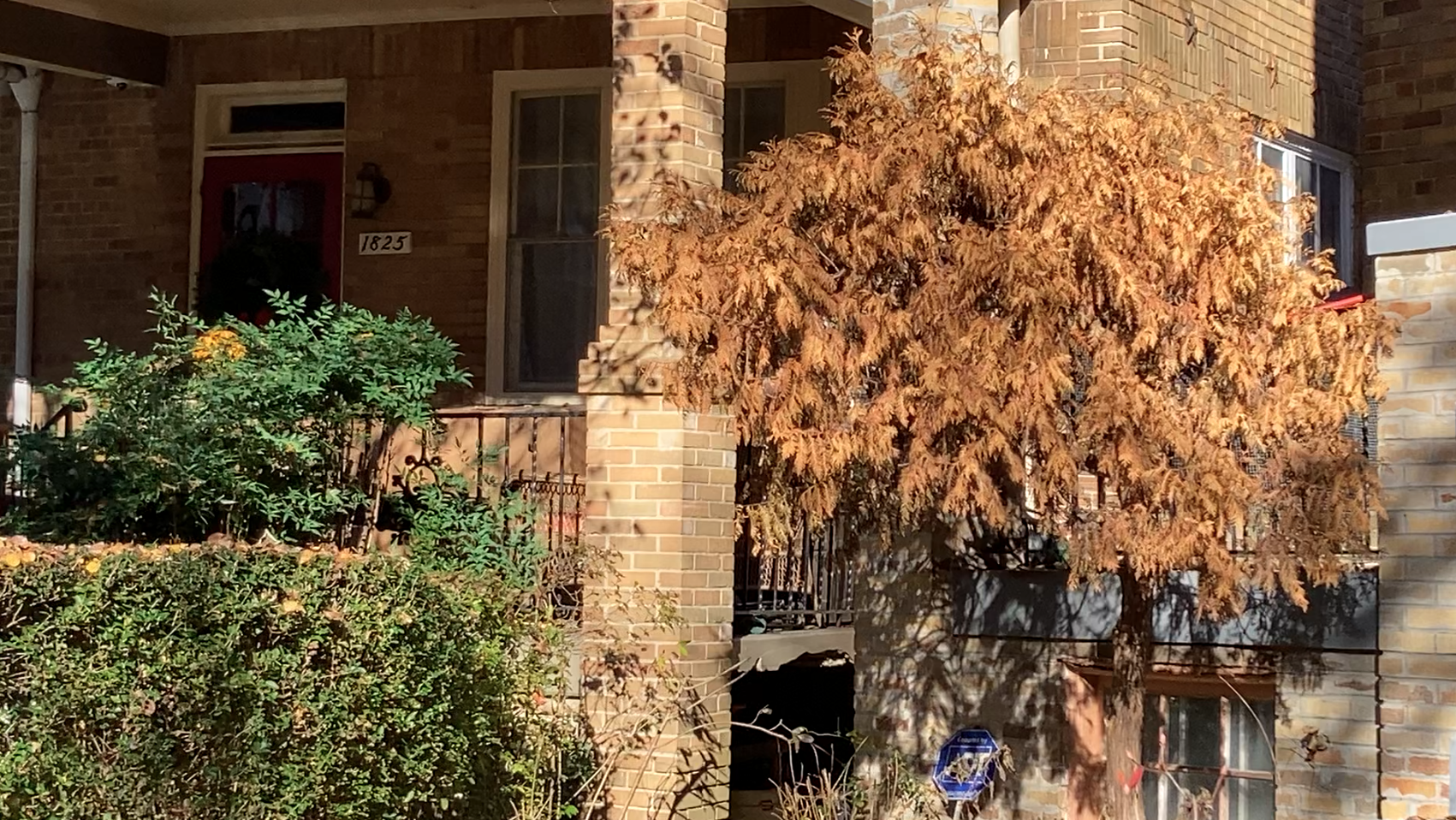 Warm colors on a porch