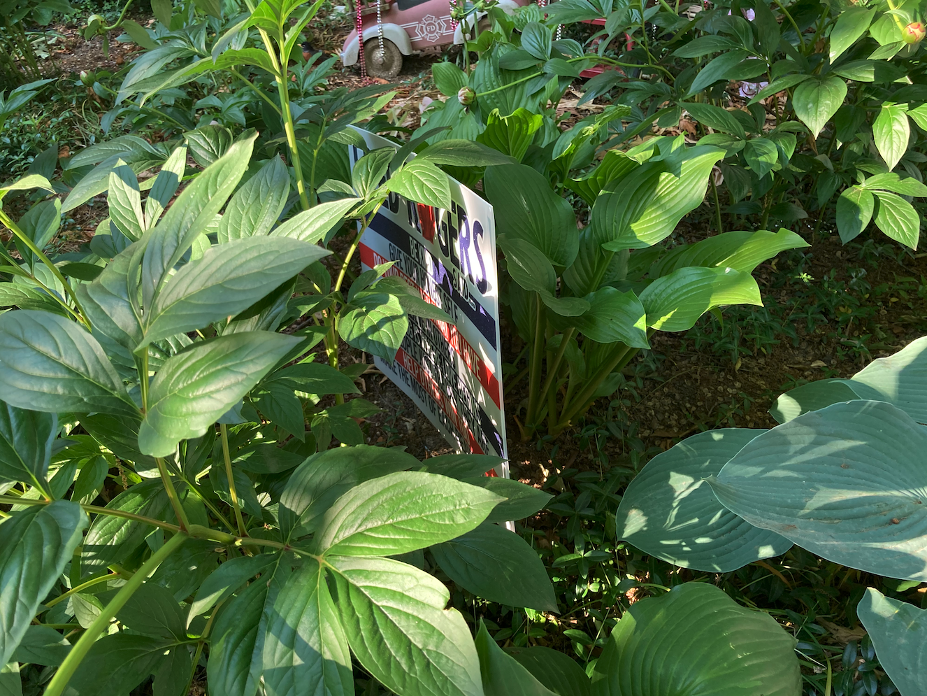 Maybe just some plants with a whip of backround.