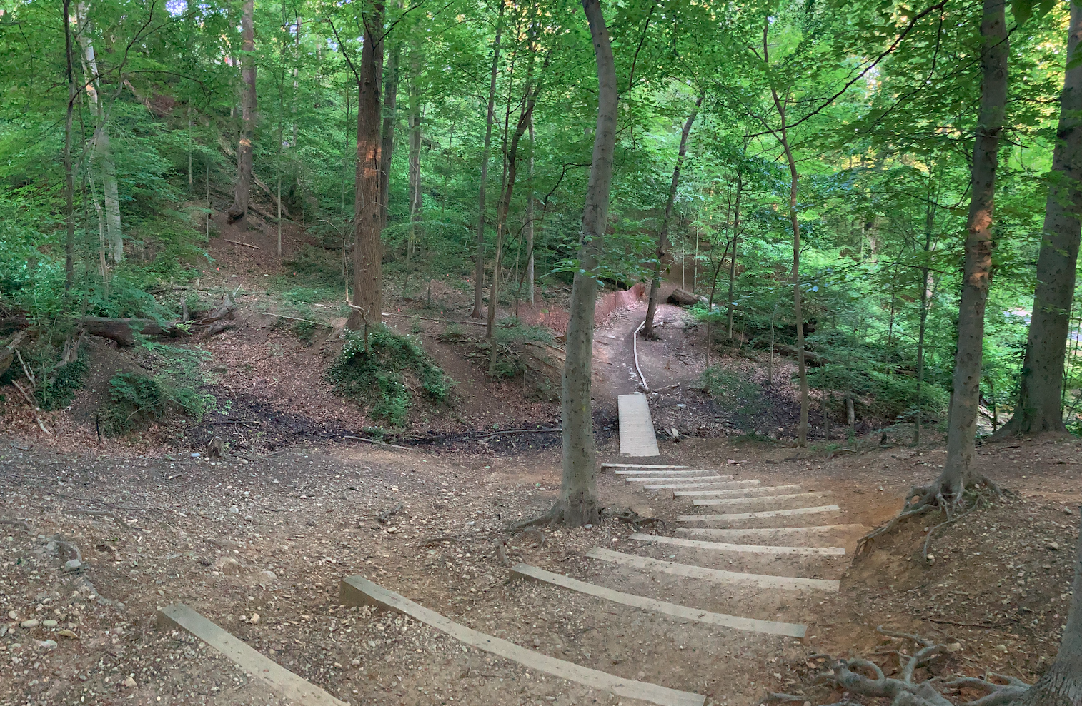 In Rock Creek Park behind Ingleside, there's the steeper path, and the less steeper path.  Some may say less steep.  I'm okay with that.